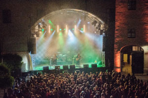 Donauside Festival Foto: Käßmeier