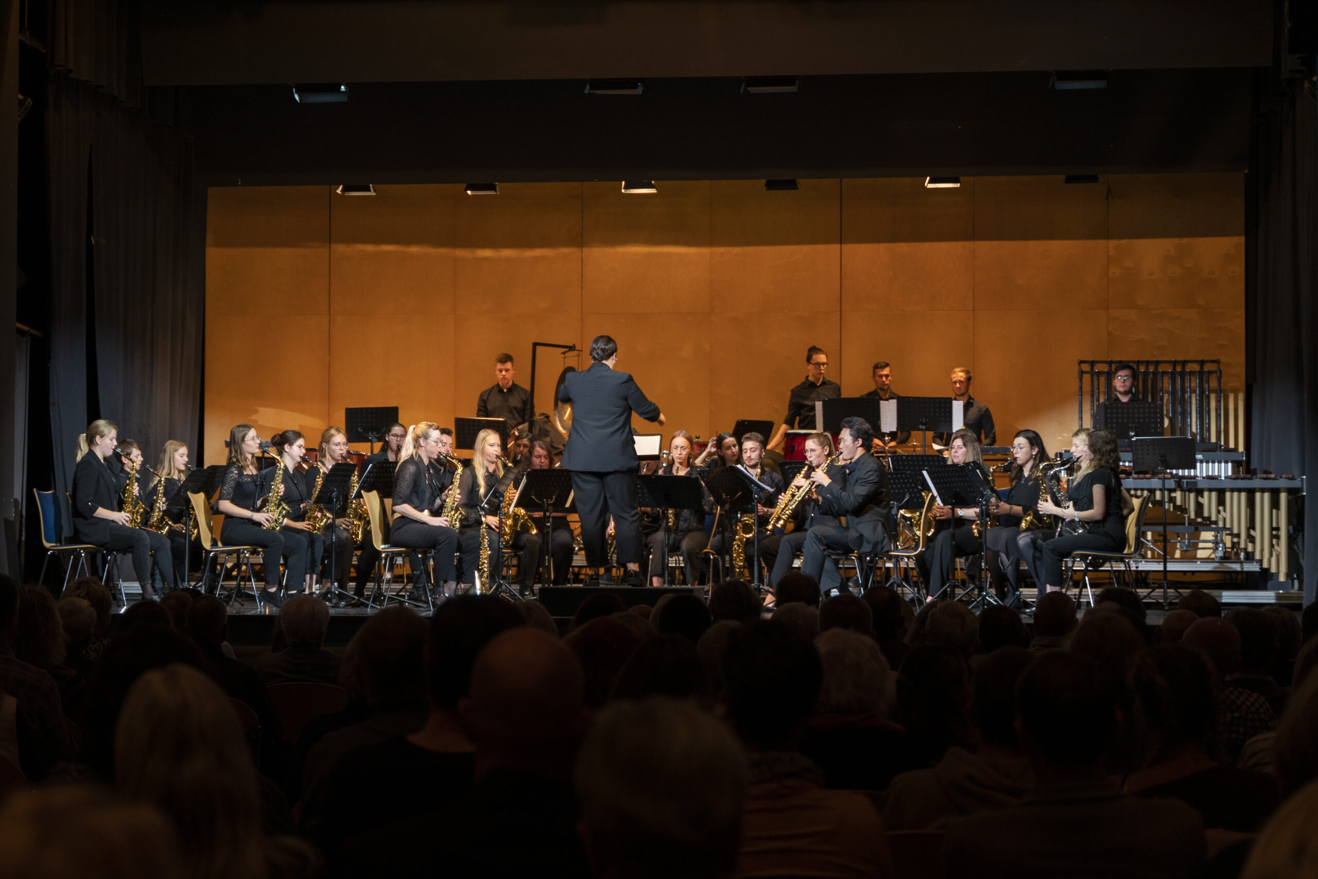 Saxophon Orchester Schwaben